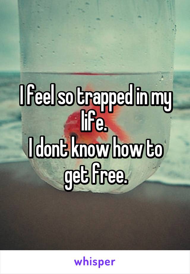 I feel so trapped in my life. 
I dont know how to get free.