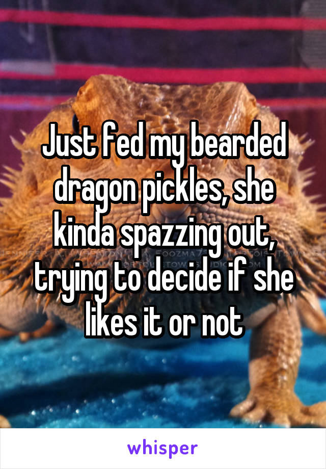 Just fed my bearded dragon pickles, she kinda spazzing out, trying to decide if she likes it or not