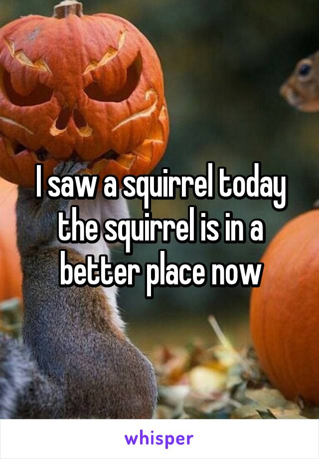 I saw a squirrel today the squirrel is in a better place now