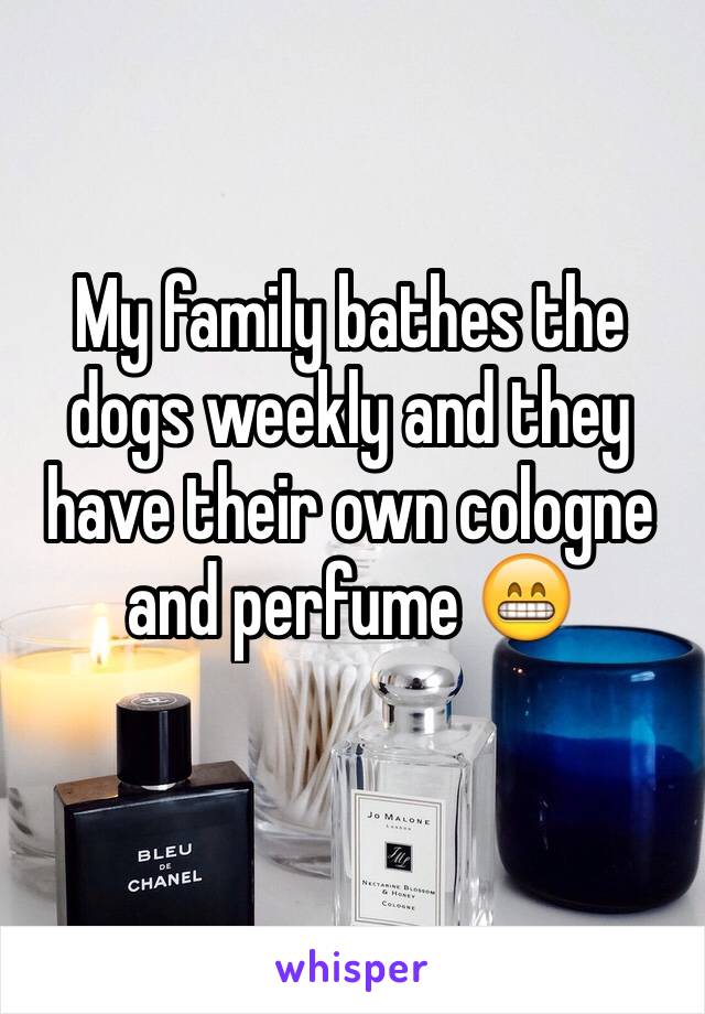 My family bathes the dogs weekly and they have their own cologne and perfume 😁