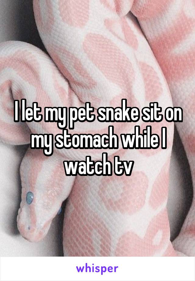 I let my pet snake sit on my stomach while I watch tv