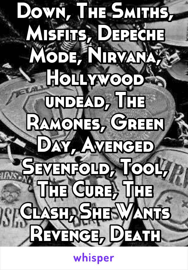 System Of A Down, The Smiths, Misfits, Depeche Mode, Nirvana, Hollywood undead, The Ramones, Green Day, Avenged Sevenfold, Tool, The Cure, The Clash, She Wants Revenge, Death Cab for Cutie, and more.