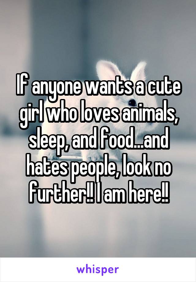 If anyone wants a cute girl who loves animals, sleep, and food...and hates people, look no further!! I am here!!