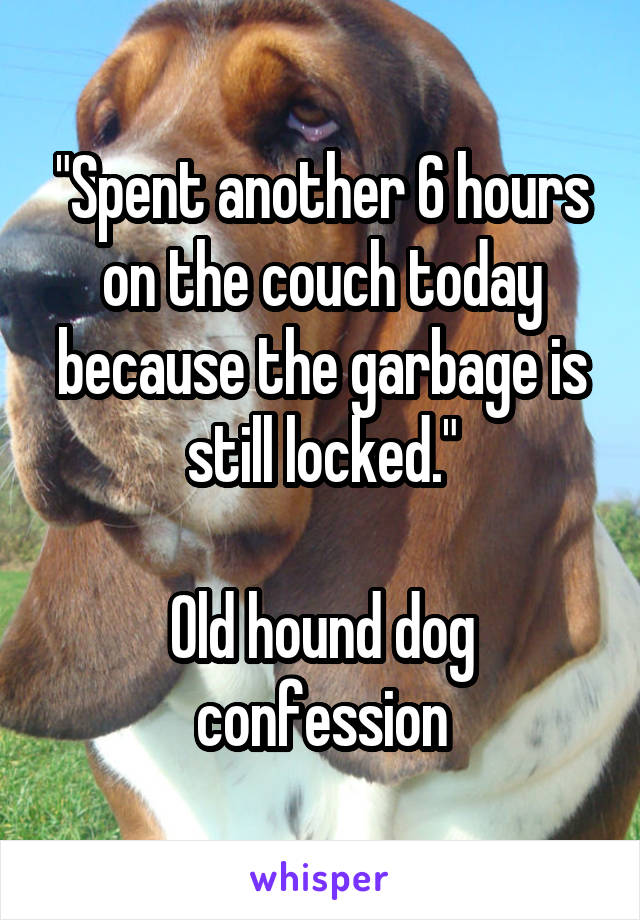 "Spent another 6 hours on the couch today because the garbage is still locked."

Old hound dog confession