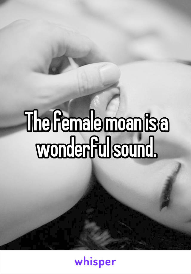 The female moan is a wonderful sound.