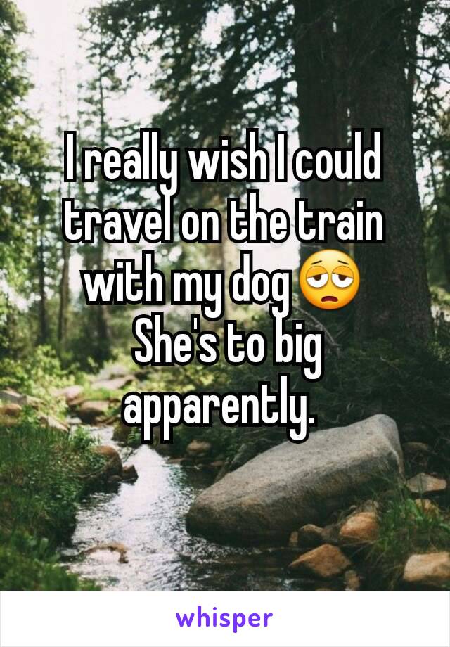 I really wish I could travel on the train with my dog😩
 She's to big apparently. 