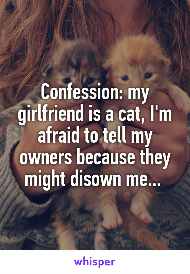Confession: my girlfriend is a cat, I'm afraid to tell my owners because they might disown me... 