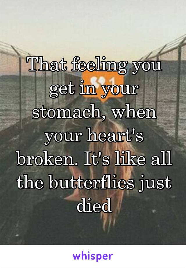 That feeling you get in your stomach, when your heart's broken. It's like all the butterflies just died