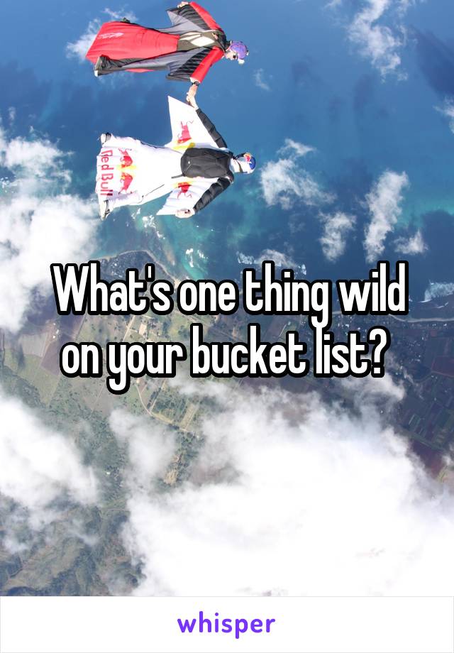 What's one thing wild on your bucket list? 