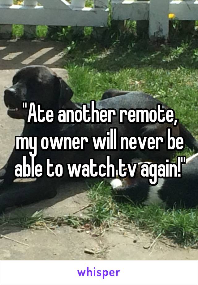 "Ate another remote, my owner will never be able to watch tv again!"