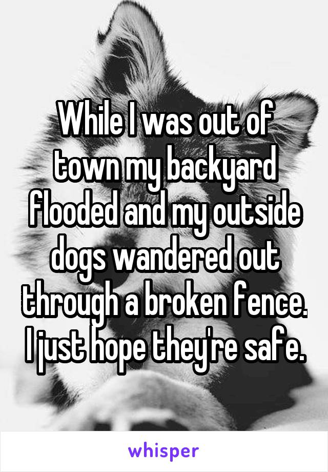 While I was out of town my backyard flooded and my outside dogs wandered out through a broken fence. I just hope they're safe.