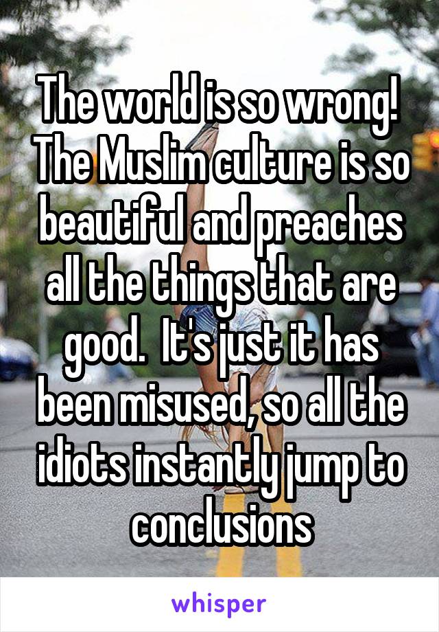 The world is so wrong!  The Muslim culture is so beautiful and preaches all the things that are good.  It's just it has been misused, so all the idiots instantly jump to conclusions