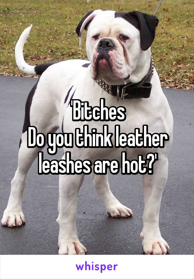 'Bitches
Do you think leather leashes are hot?'