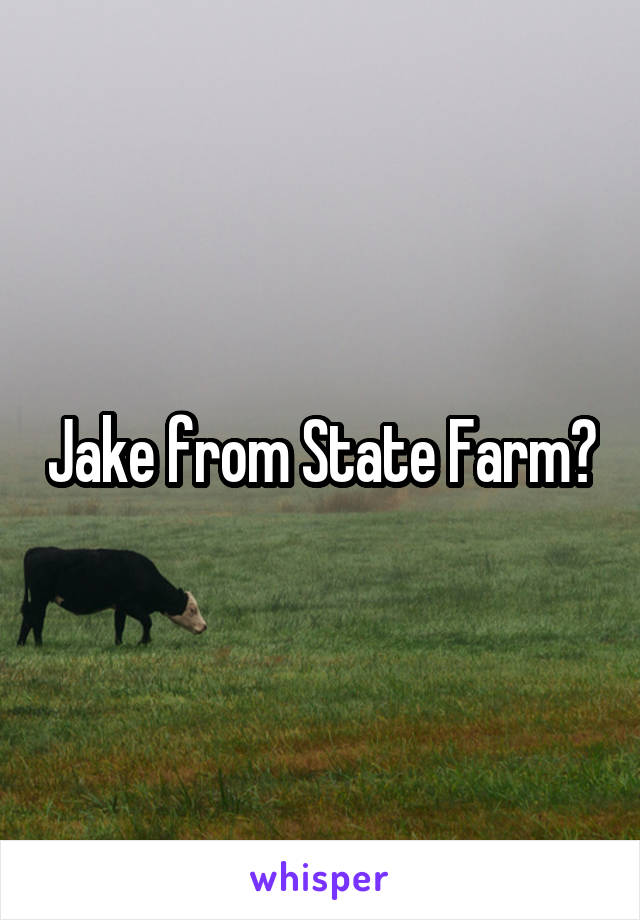 Jake from State Farm?