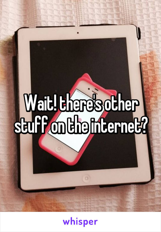 Wait! there's other stuff on the internet?