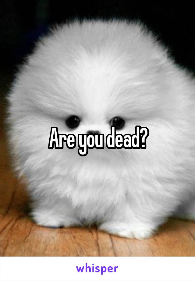 Are you dead?