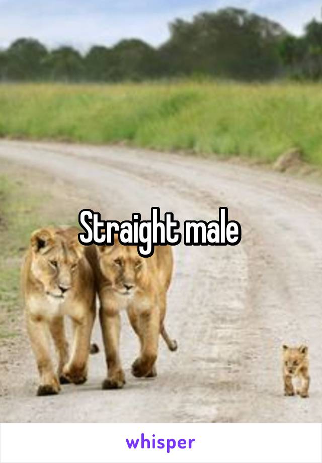 Straight male 