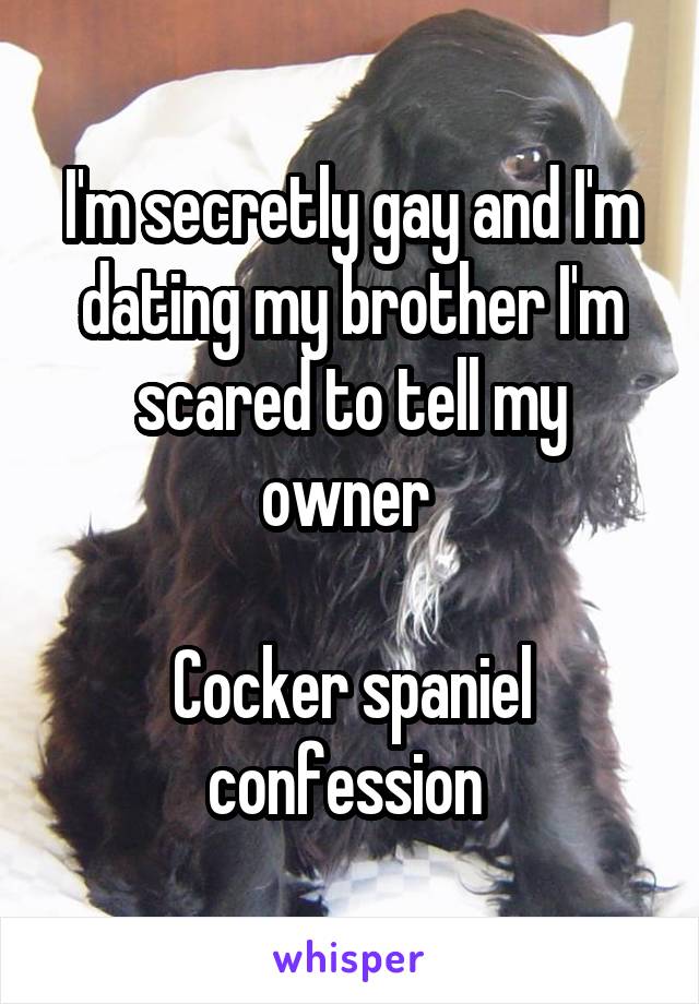 I'm secretly gay and I'm dating my brother I'm scared to tell my owner 

Cocker spaniel confession 