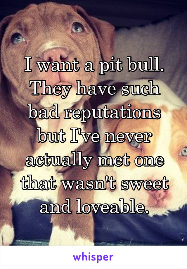 I want a pit bull. They have such bad reputations but I've never actually met one that wasn't sweet and loveable.