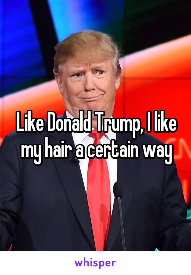 Like Donald Trump, I like my hair a certain way