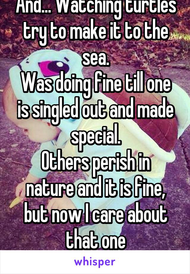 And... Watching turtles try to make it to the sea.
Was doing fine till one is singled out and made special.
Others perish in nature and it is fine, but now I care about that one
Sads