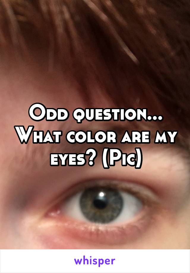 Odd question... What color are my eyes? (Pic)