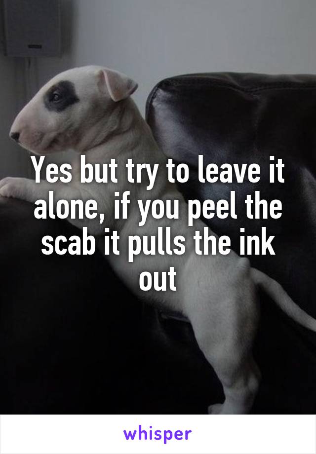 Yes but try to leave it alone, if you peel the scab it pulls the ink out