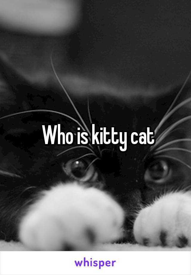  Who is kitty cat