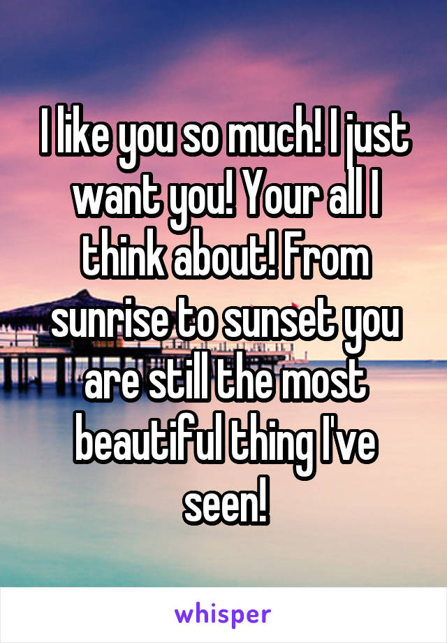 I like you so much! I just want you! Your all I think about! From sunrise to sunset you are still the most beautiful thing I've seen!