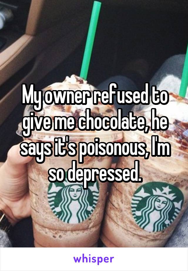 My owner refused to give me chocolate, he says it's poisonous, I'm so depressed.
