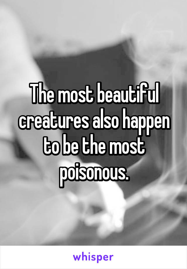 The most beautiful creatures also happen to be the most poisonous.