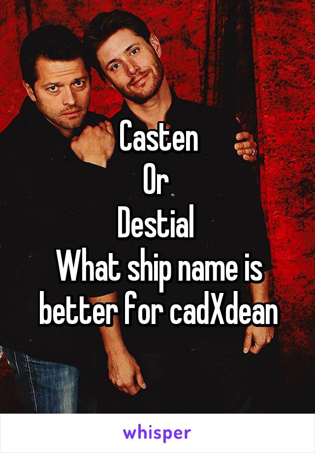 Casten
Or 
Destial 
What ship name is better for cadXdean