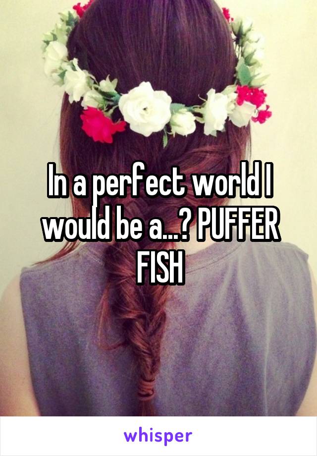 In a perfect world I would be a...? PUFFER FISH