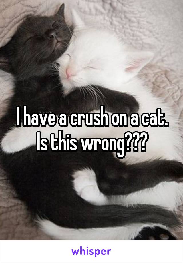 I have a crush on a cat. Is this wrong???
