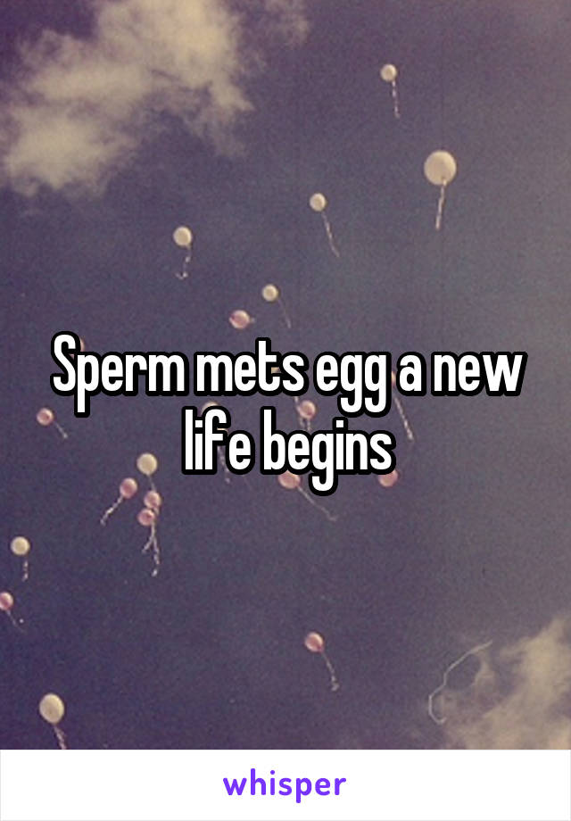 Sperm mets egg a new life begins