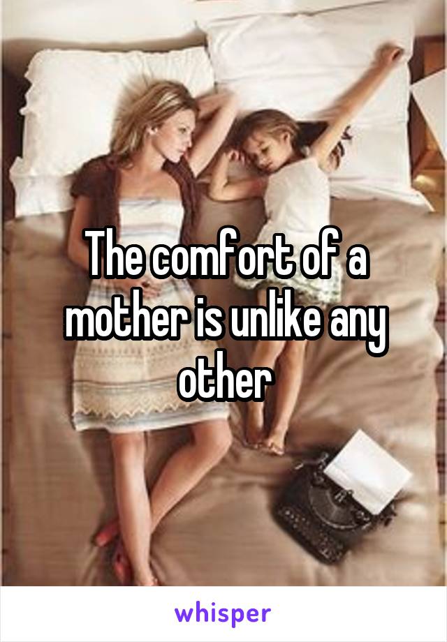 The comfort of a mother is unlike any other