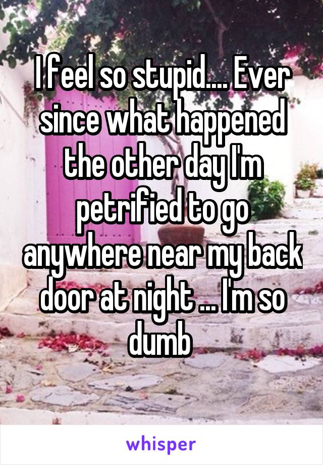 I feel so stupid.... Ever since what happened the other day I'm petrified to go anywhere near my back door at night ... I'm so dumb 
