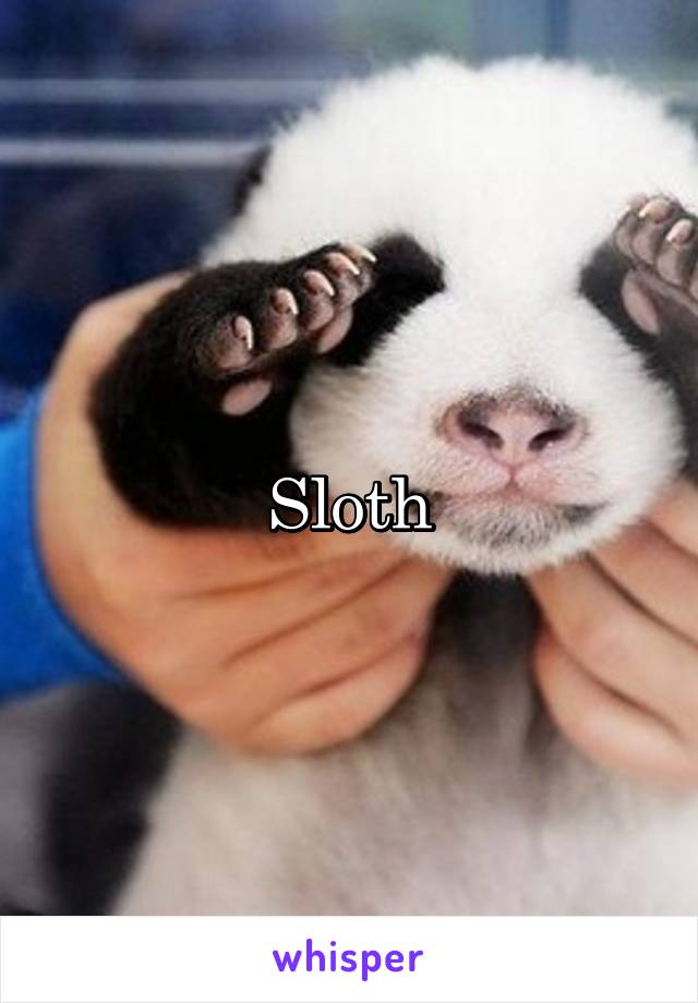 Sloth