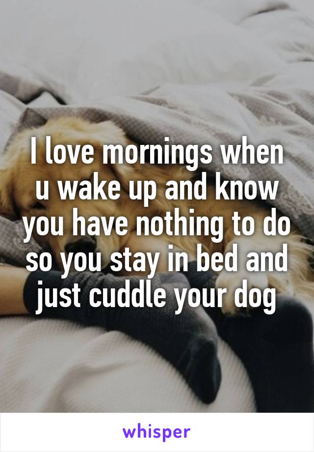 I love mornings when u wake up and know you have nothing to do so you stay in bed and just cuddle your dog