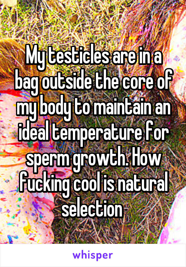 My testicles are in a bag outside the core of my body to maintain an ideal temperature for sperm growth. How fucking cool is natural selection 