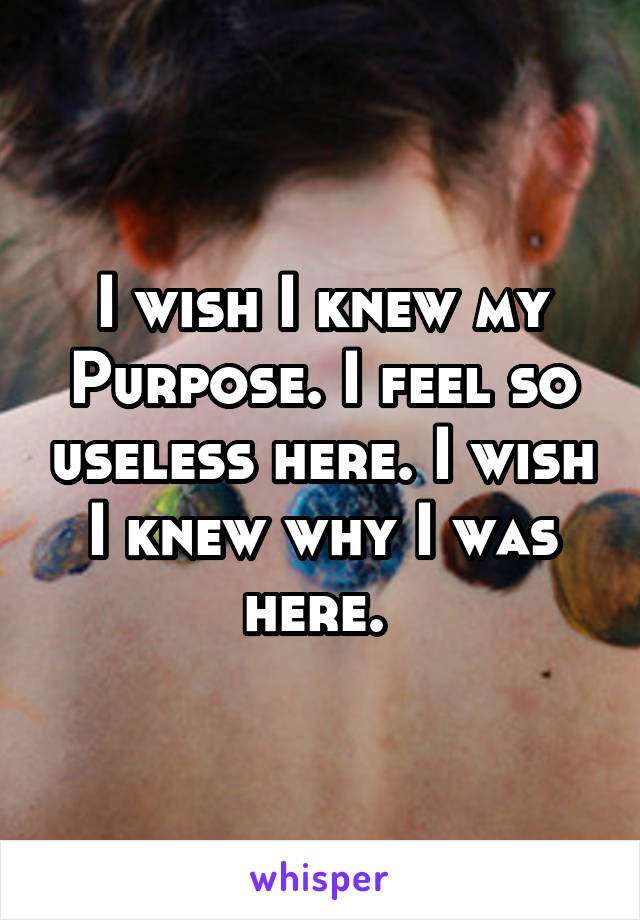 I wish I knew my
Purpose. I feel so useless here. I wish I knew why I was here. 