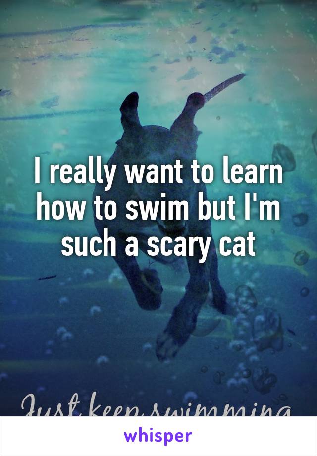 I really want to learn how to swim but I'm such a scary cat
 