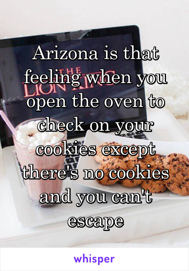 Arizona is that feeling when you open the oven to check on your cookies except there's no cookies and you can't escape