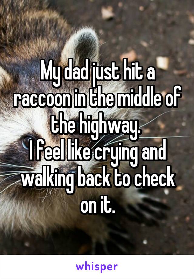 My dad just hit a raccoon in the middle of the highway. 
I feel like crying and walking back to check on it.