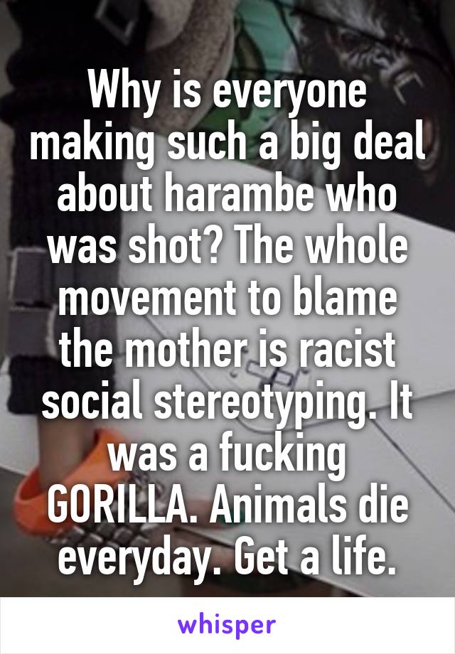 Why is everyone making such a big deal about harambe who was shot? The whole movement to blame the mother is racist social stereotyping. It was a fucking GORILLA. Animals die everyday. Get a life.