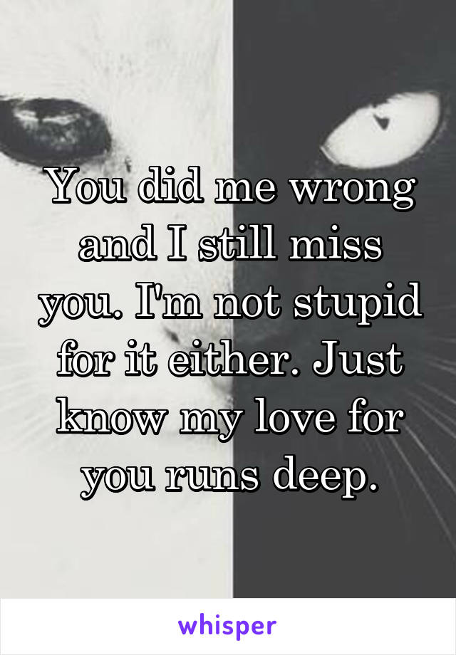 You did me wrong and I still miss you. I'm not stupid for it either. Just know my love for you runs deep.