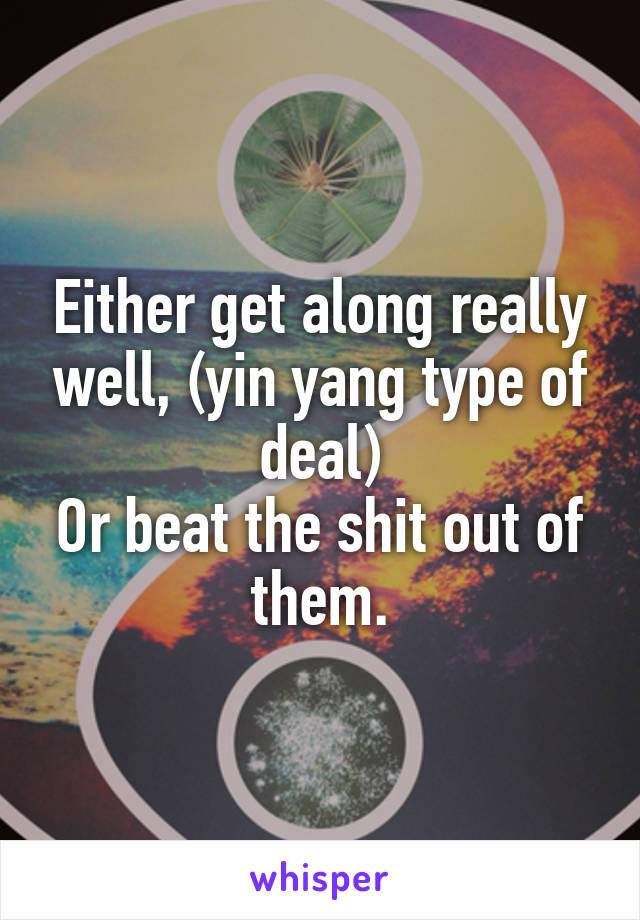 Either get along really well, (yin yang type of deal)
Or beat the shit out of them.