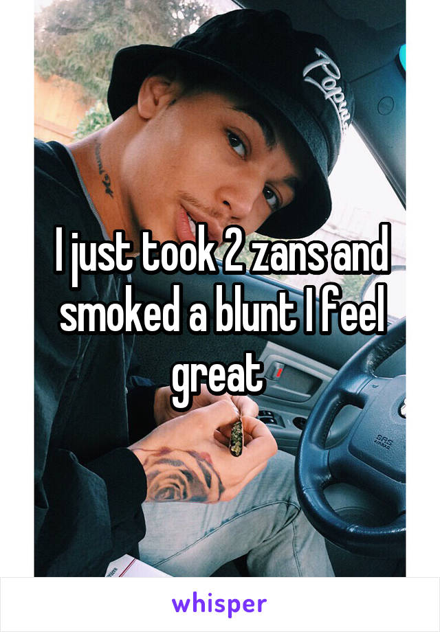 I just took 2 zans and smoked a blunt I feel great 