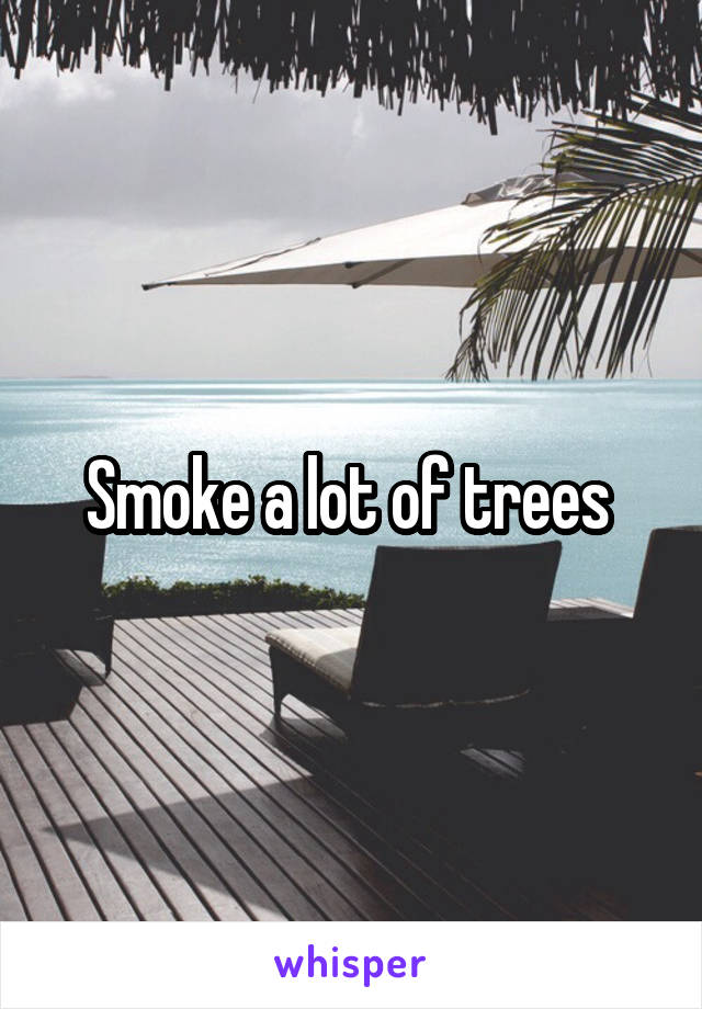 Smoke a lot of trees 