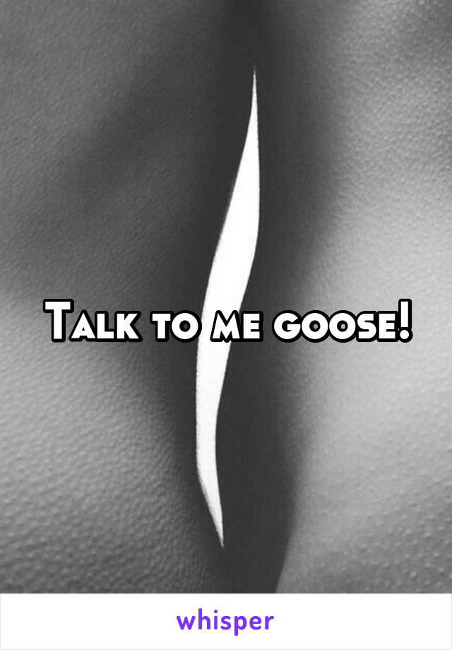 Talk to me goose!